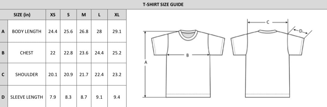 STRKRS mens women's unisex 100% cotton heavyweight crewneck relaxed fit t-shirt. Arch Star Logo on center chest